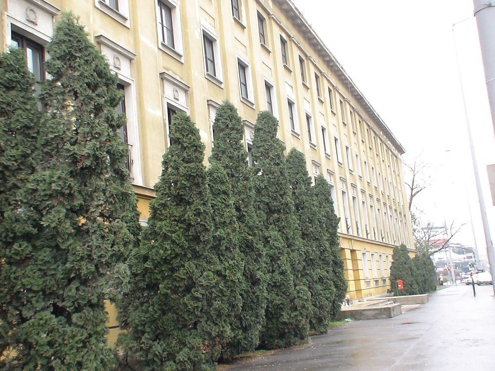 A főbejárat kelet felől
